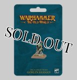 シルヴァネス 覚醒せし森林 Awakened Wyldwood ウォーハンマー シルヴァネス 覚醒せし森林 Awakened Wyldwood ウォーハンマー