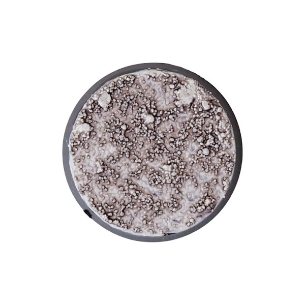 画像2: [シタデルカラー：SHADE] TARGOR RAGESHADE タルゴール・レイジシェイド (2)