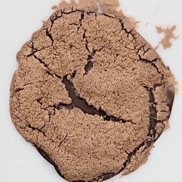 画像2: [シタデルカラー：TECHNICAL] AGRELLAN BADLAND アグレラン・バッドランド (2)