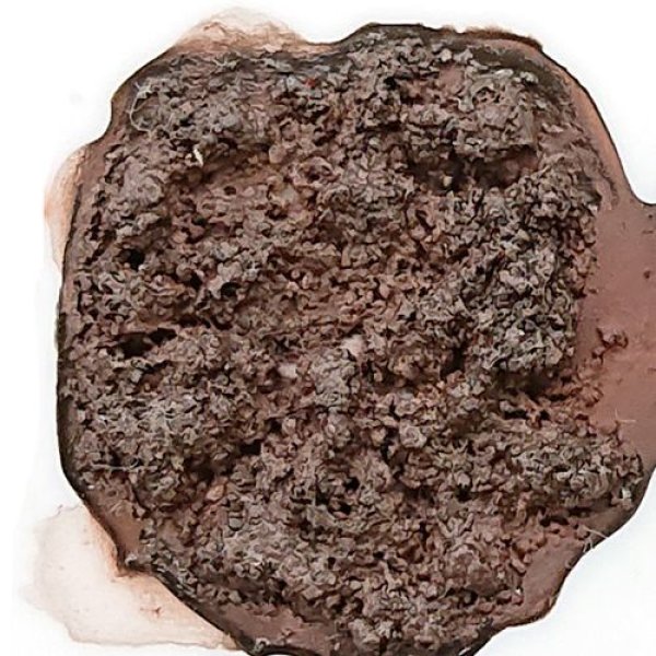 画像2: [シタデルカラー：TECHNICAL] STIRLAND MUD スターランド・マッド (2)