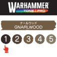 画像2: 【10月24日発売予定：予約】[ウォーハンマーカラー：TonePRO] 【1】ナールウッド (2)