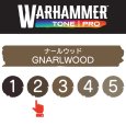 画像2: 【10月24日発売予定：予約】[ウォーハンマーカラー：TonePRO] 【2】ナールウッド (2)