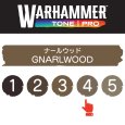画像2: 【10月24日発売予定：予約】[ウォーハンマーカラー：TonePRO] 【4】ナールウッド (2)