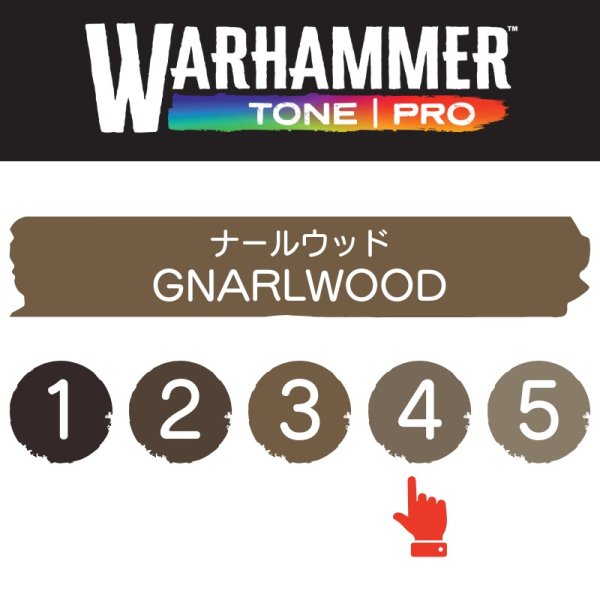 画像2: 【10月24日発売予定：予約】[ウォーハンマーカラー：TonePRO] 【4】ナールウッド (2)