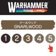 画像2: 【10月24日発売予定：予約】[ウォーハンマーカラー：TonePRO] 【5】ナールウッド (2)