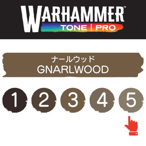 画像2: 【10月24日発売予定：予約】[ウォーハンマーカラー：TonePRO] 【5】ナールウッド (2)