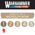 画像2: 【10月24日発売予定：予約】[ウォーハンマーカラー：TonePRO] 【1】ネクロリス・ボーン (2)