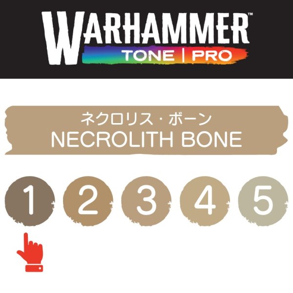 画像2: 【10月24日発売予定：予約】[ウォーハンマーカラー：TonePRO] 【1】ネクロリス・ボーン (2)