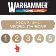 画像2: 【10月24日発売予定：予約】[ウォーハンマーカラー：TonePRO] 【2】ネクロリス・ボーン (2)