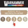 画像2: 【10月24日発売予定：予約】[ウォーハンマーカラー：TonePRO] 【3】ネクロリス・ボーン (2)