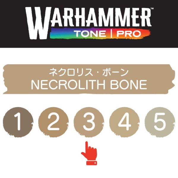 画像2: 【10月24日発売予定：予約】[ウォーハンマーカラー：TonePRO] 【3】ネクロリス・ボーン (2)