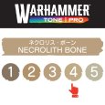 画像2: 【10月24日発売予定：予約】[ウォーハンマーカラー：TonePRO] 【4】ネクロリス・ボーン (2)