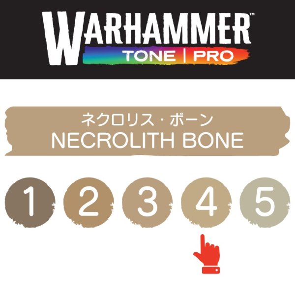 画像2: 【10月24日発売予定：予約】[ウォーハンマーカラー：TonePRO] 【4】ネクロリス・ボーン (2)