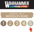 画像2: 【10月24日発売予定：予約】[ウォーハンマーカラー：TonePRO] 【5】ネクロリス・ボーン (2)