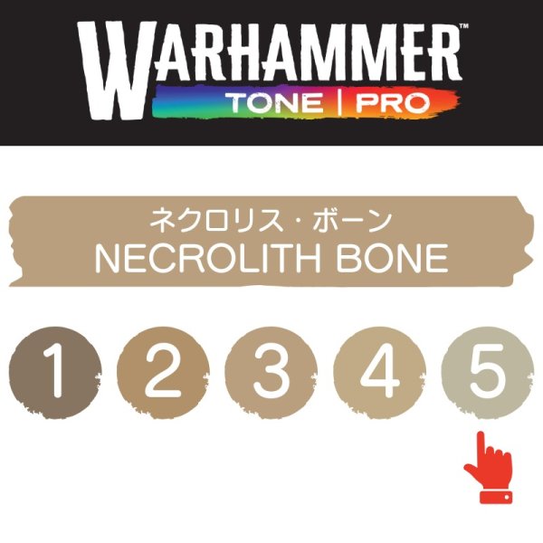 画像2: 【10月24日発売予定：予約】[ウォーハンマーカラー：TonePRO] 【5】ネクロリス・ボーン (2)