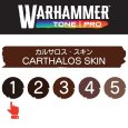 画像2: 【10月24日発売予定：予約】[ウォーハンマーカラー：TonePRO] 【1】カルサロス・スキン (2)