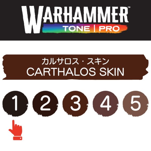画像2: 【10月24日発売予定：予約】[ウォーハンマーカラー：TonePRO] 【1】カルサロス・スキン (2)