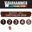 画像2: 【10月24日発売予定：予約】[ウォーハンマーカラー：TonePRO] 【2】カルサロス・スキン (2)