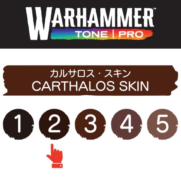 画像2: 【10月24日発売予定：予約】[ウォーハンマーカラー：TonePRO] 【2】カルサロス・スキン (2)