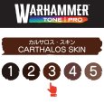 画像2: 【10月24日発売予定：予約】[ウォーハンマーカラー：TonePRO] 【3】カルサロス・スキン (2)