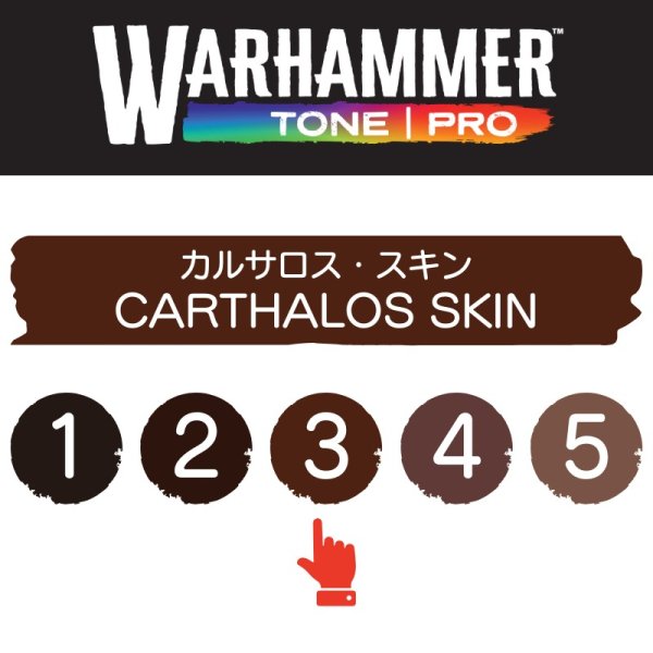 画像2: 【10月24日発売予定：予約】[ウォーハンマーカラー：TonePRO] 【3】カルサロス・スキン (2)