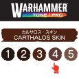 画像2: 【10月24日発売予定：予約】[ウォーハンマーカラー：TonePRO] 【4】カルサロス・スキン (2)