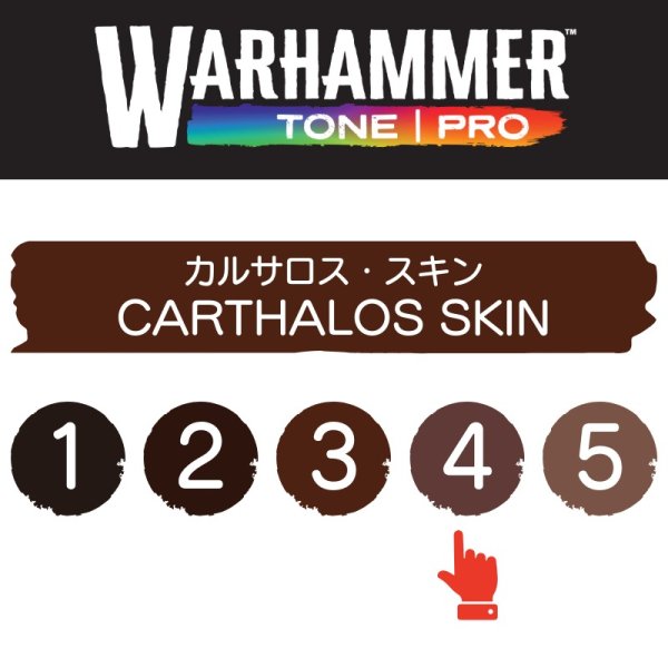 画像2: 【10月24日発売予定：予約】[ウォーハンマーカラー：TonePRO] 【4】カルサロス・スキン (2)