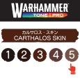 画像2: 【10月24日発売予定：予約】[ウォーハンマーカラー：TonePRO] 【5】カルサロス・スキン (2)