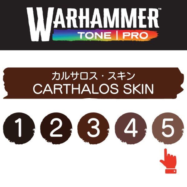 画像2: 【10月24日発売予定：予約】[ウォーハンマーカラー：TonePRO] 【5】カルサロス・スキン (2)