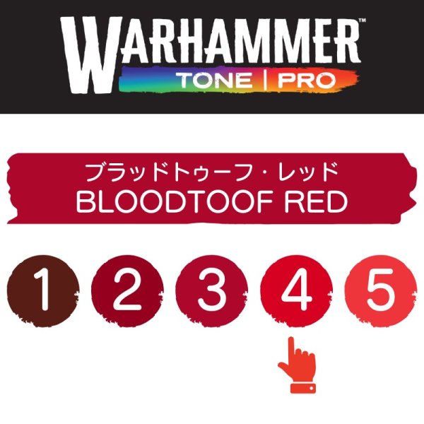 画像2: 【10月24日発売予定：予約】[ウォーハンマーカラー：TonePRO] 【4】ブラッドトゥーフ・レッド (2)