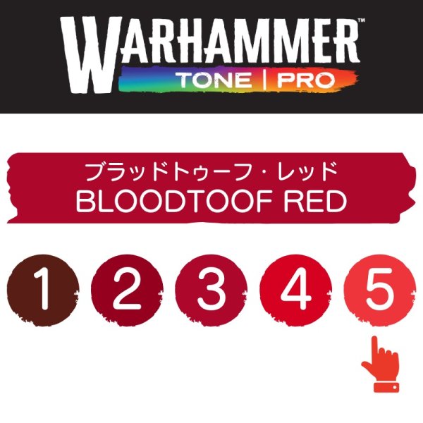 画像2: 【10月24日発売予定：予約】[ウォーハンマーカラー：TonePRO] 【5】ブラッドトゥーフ・レッド (2)