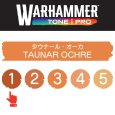 画像2: 【10月24日発売予定：予約】[ウォーハンマーカラー：TonePRO] 【1】タウナール・オーカ (2)