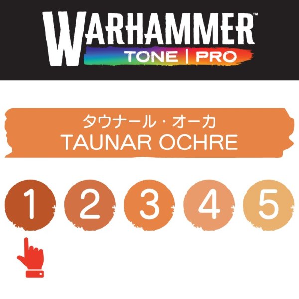 画像2: 【10月24日発売予定：予約】[ウォーハンマーカラー：TonePRO] 【1】タウナール・オーカ (2)