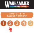 画像2: 【10月24日発売予定：予約】[ウォーハンマーカラー：TonePRO] 【2】タウナール・オーカ (2)
