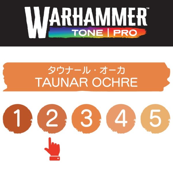 画像2: 【10月24日発売予定：予約】[ウォーハンマーカラー：TonePRO] 【2】タウナール・オーカ (2)