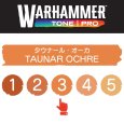 画像2: 【10月24日発売予定：予約】[ウォーハンマーカラー：TonePRO] 【3】タウナール・オーカ (2)