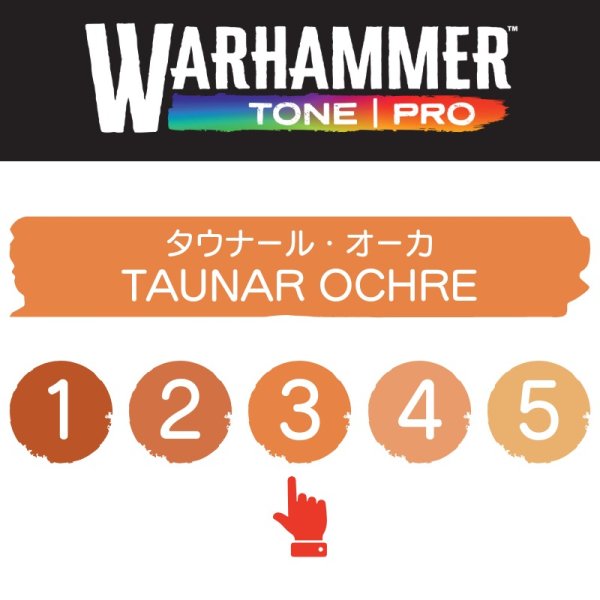 画像2: 【10月24日発売予定：予約】[ウォーハンマーカラー：TonePRO] 【3】タウナール・オーカ (2)