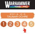 画像2: 【10月24日発売予定：予約】[ウォーハンマーカラー：TonePRO] 【4】タウナール・オーカ (2)