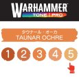 画像2: 【10月24日発売予定：予約】[ウォーハンマーカラー：TonePRO] 【5】タウナール・オーカ (2)