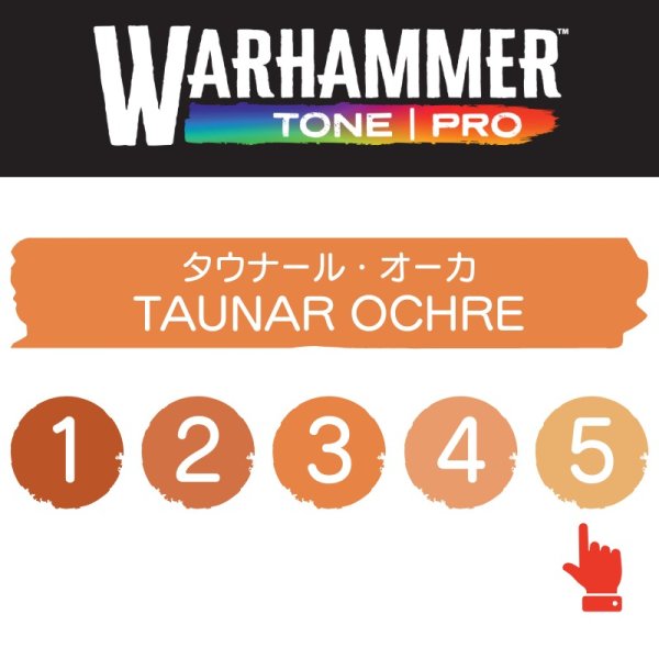 画像2: 【10月24日発売予定：予約】[ウォーハンマーカラー：TonePRO] 【5】タウナール・オーカ (2)
