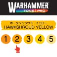 画像2: 【10月24日発売予定：予約】[ウォーハンマーカラー：TonePRO] 【2】ホークシュラウド・イエロー (2)