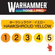 画像2: 【10月24日発売予定：予約】[ウォーハンマーカラー：TonePRO] 【5】ホークシュラウド・イエロー (2)