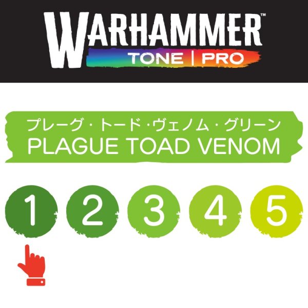 画像2: 【10月24日発売予定：予約】[ウォーハンマーカラー：TonePRO] 【1】プレーグ・トード・ヴェノム・グリーン (2)