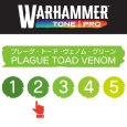 画像2: 【10月24日発売予定：予約】[ウォーハンマーカラー：TonePRO] 【2】プレーグ・トード・ヴェノム・グリーン (2)