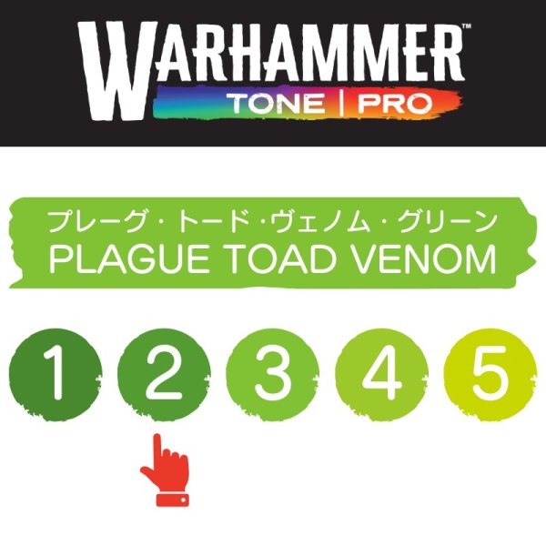 画像2: 【10月24日発売予定：予約】[ウォーハンマーカラー：TonePRO] 【2】プレーグ・トード・ヴェノム・グリーン (2)