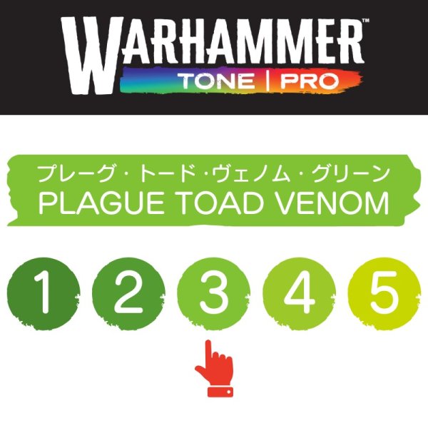 画像2: 【10月24日発売予定：予約】[ウォーハンマーカラー：TonePRO] 【3】プレーグ・トード・ヴェノム・グリーン (2)