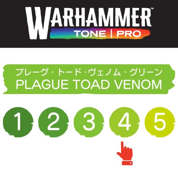 画像2: 【10月24日発売予定：予約】[ウォーハンマーカラー：TonePRO] 【4】プレーグ・トード・ヴェノム・グリーン (2)