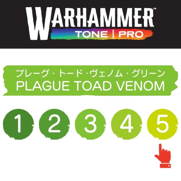 画像2: 【10月24日発売予定：予約】[ウォーハンマーカラー：TonePRO] 【5】プレーグ・トード・ヴェノム・グリーン (2)