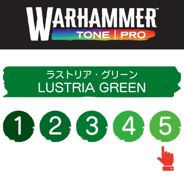 画像2: 【10月24日発売予定：予約】[ウォーハンマーカラー：TonePRO] 【5】ラストリア・グリーン (2)