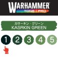 画像2: 【10月24日発売予定：予約】[ウォーハンマーカラー：TonePRO] 【1】カサーキン・グリーン (2)